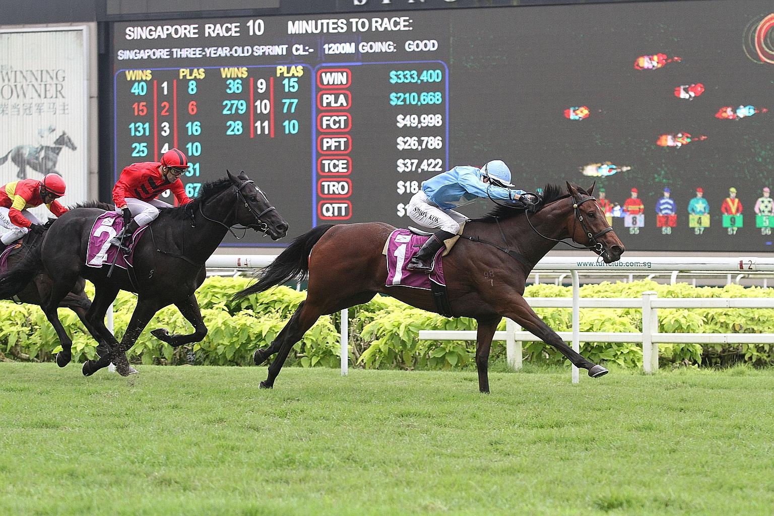 Tiger Roar flashing home from last to beat stablemate Prosperous Return (No. 2) in the $110,000 Group 3 Singapore Three-Year-Old Sprint over 1,200m on June 27. Tomorrow's extra 200m will suit him to a T.