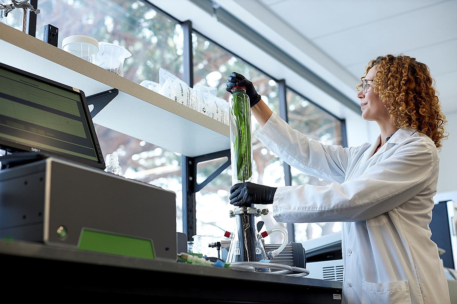 A Pivot Bio scientist in Berkeley, California, using a spectrometer to measure acetylene reduction activity in a plant sample. The start-up, which says its products take microbes that naturally occur in crop soils and use them to convert atmospheric 