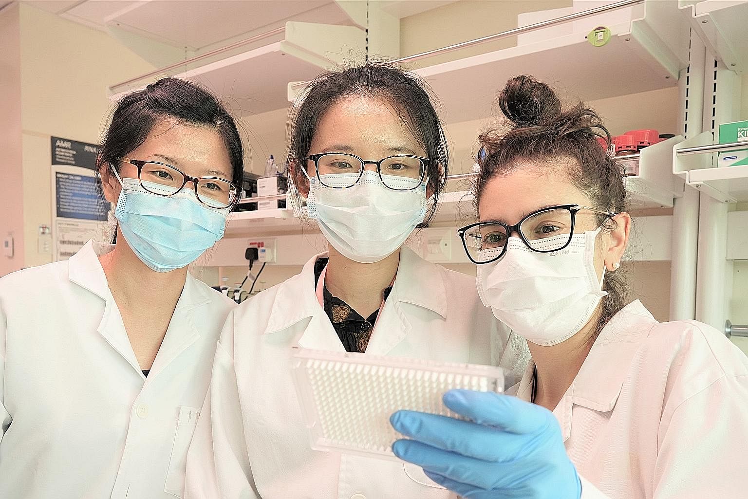 Singapore-MIT Alliance for Research and Technology researchers (from left) Lee Wei Lin, Gu Xiaoqiong and Federica Armas evaluating a 384-well plate set up for variant detection tests.