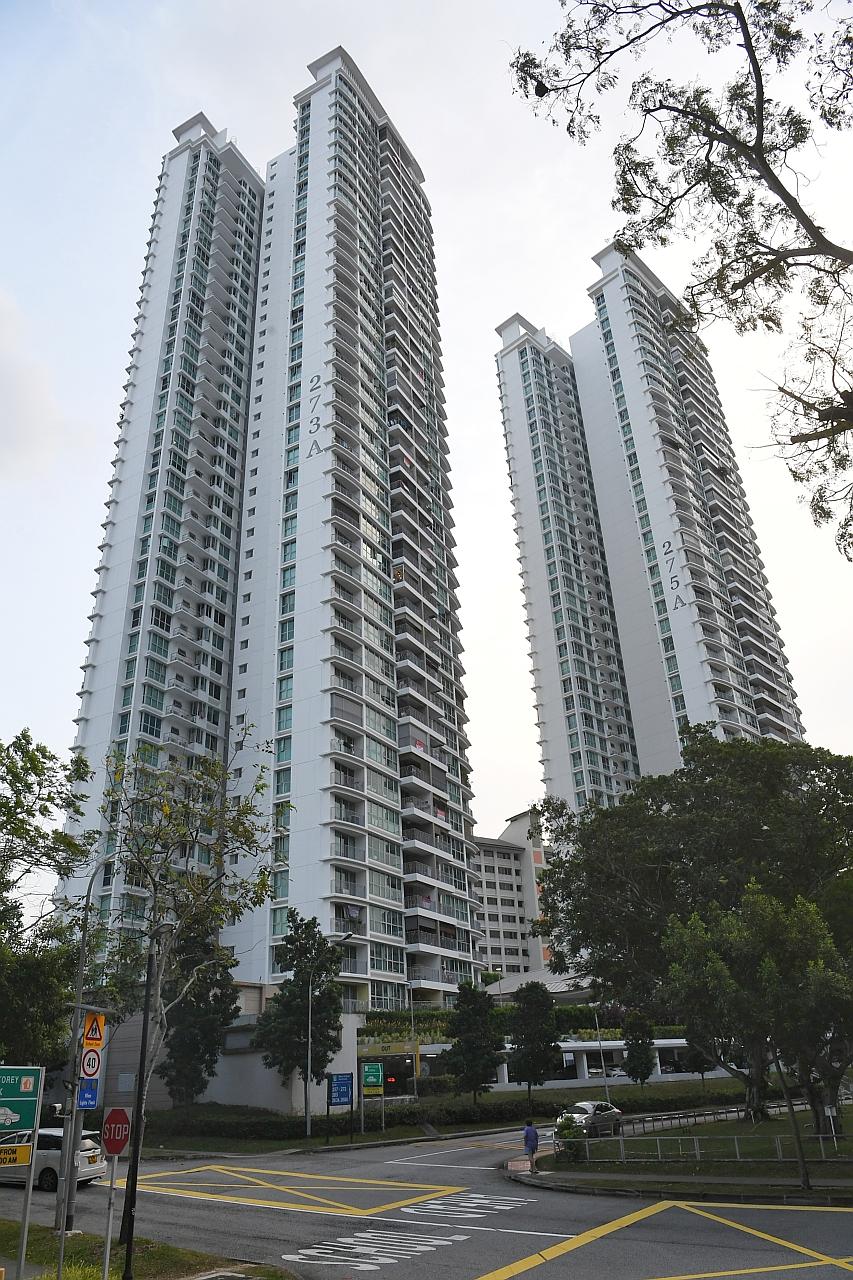 The 120 sq m unit at Block 273A Bishan Street 24 is located in a Design, Build and Sell Scheme project called Natura Loft. The high-floor unit, which is in a 40-storey block, has about 89 years left on its lease.