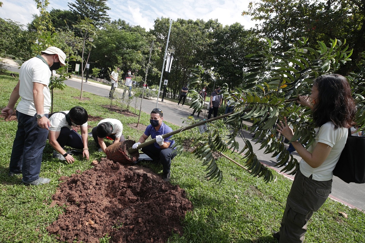 More gardening plots, therapeutic gardens in West Coast by 2030: NParks ...