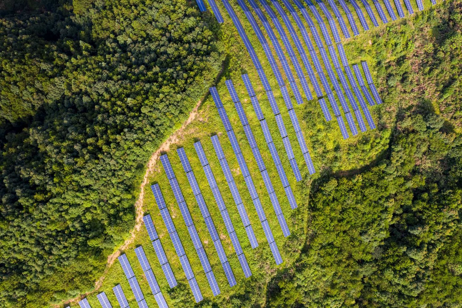 Solar panels can help shape a sustainable future