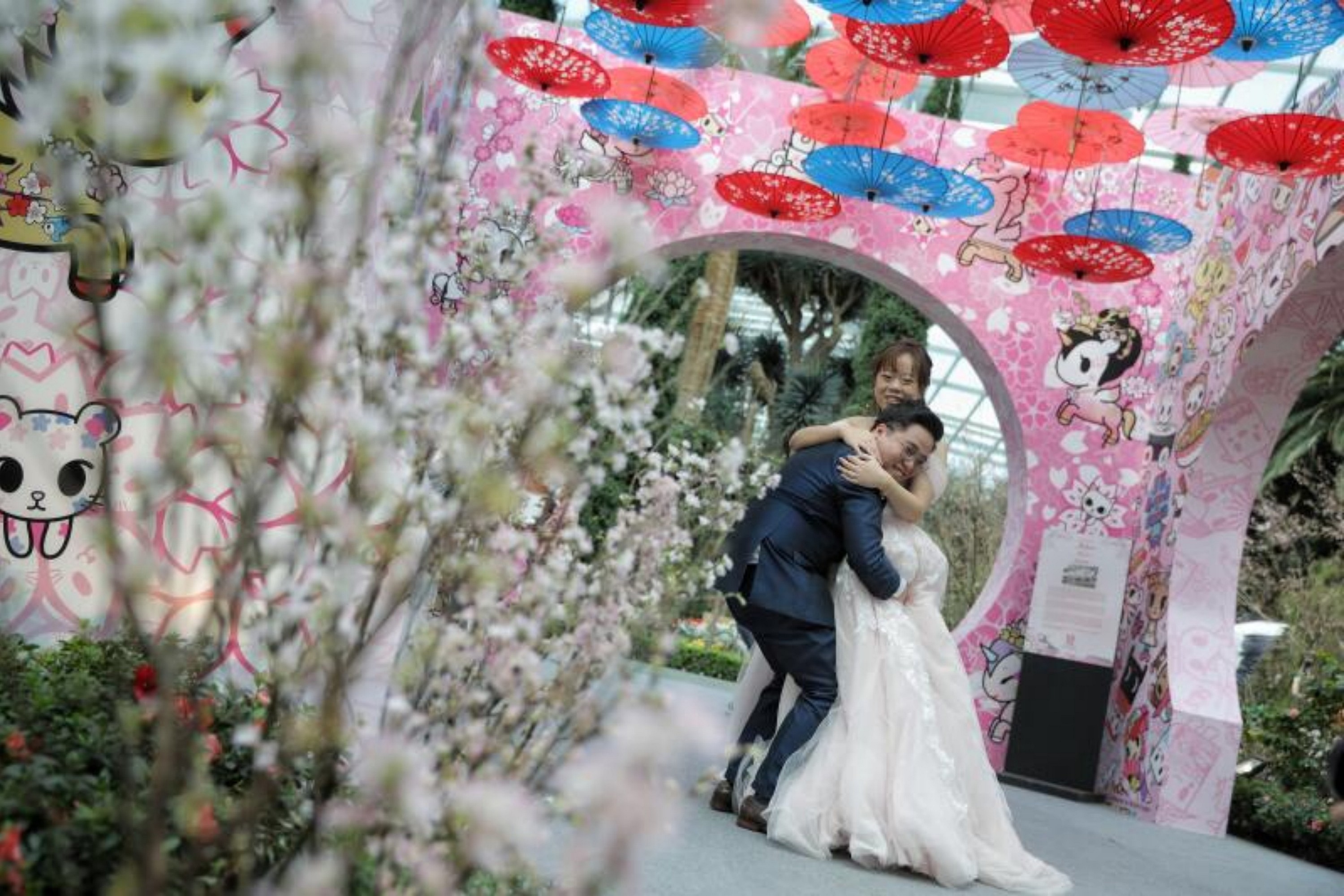 Cherry blossom season with tokidoki at Gardens by the Bay as it