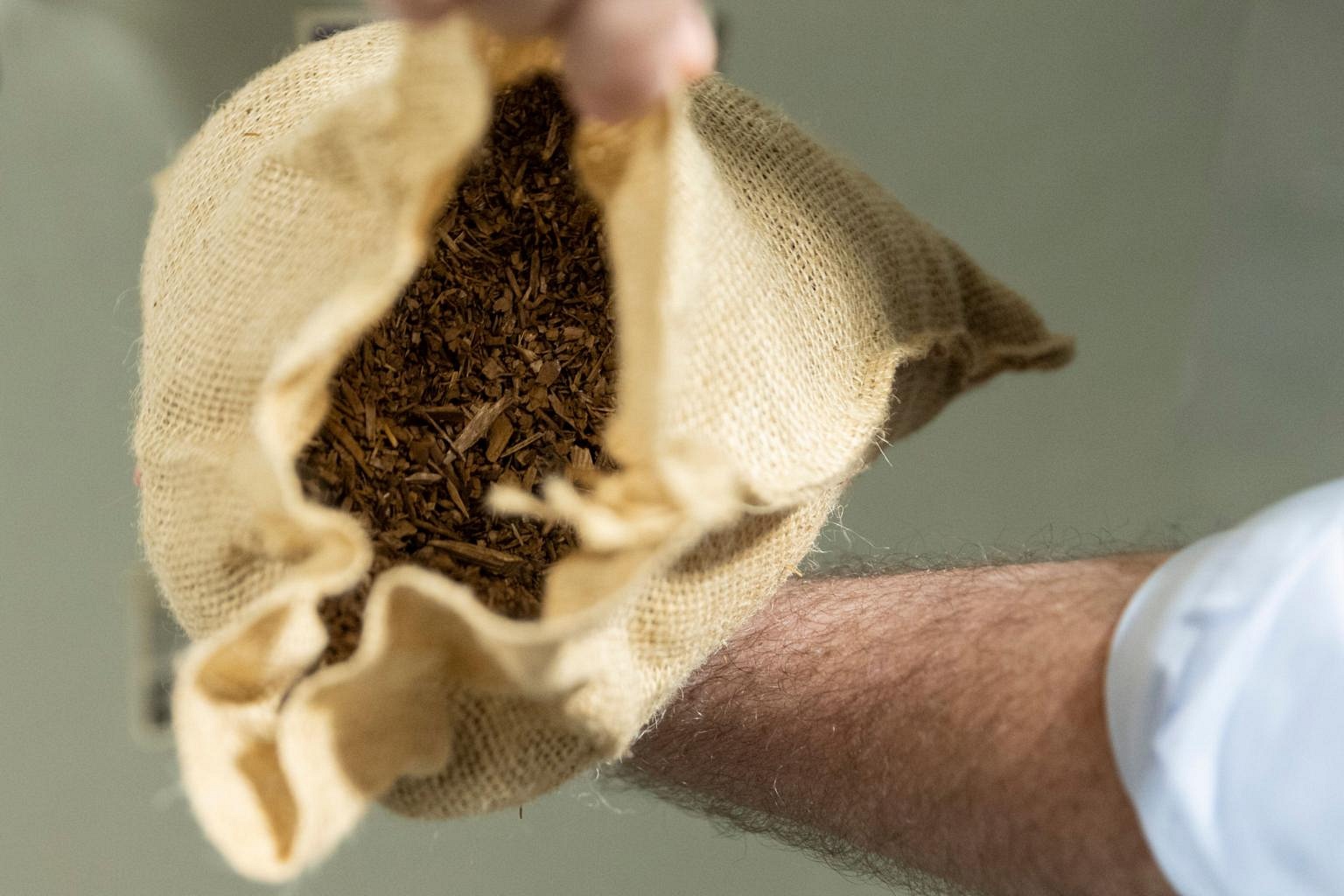 Body Composting Takes Root In US 'green' Burial Trend | The Straits Times