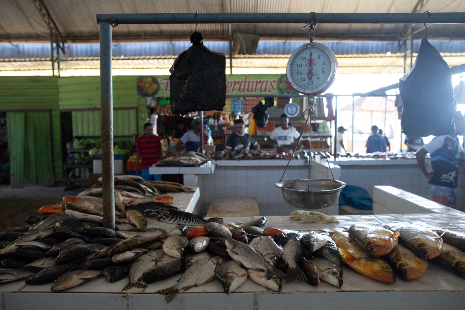 Fish trade's murky waters cloud double murder in Amazon The Straits Times