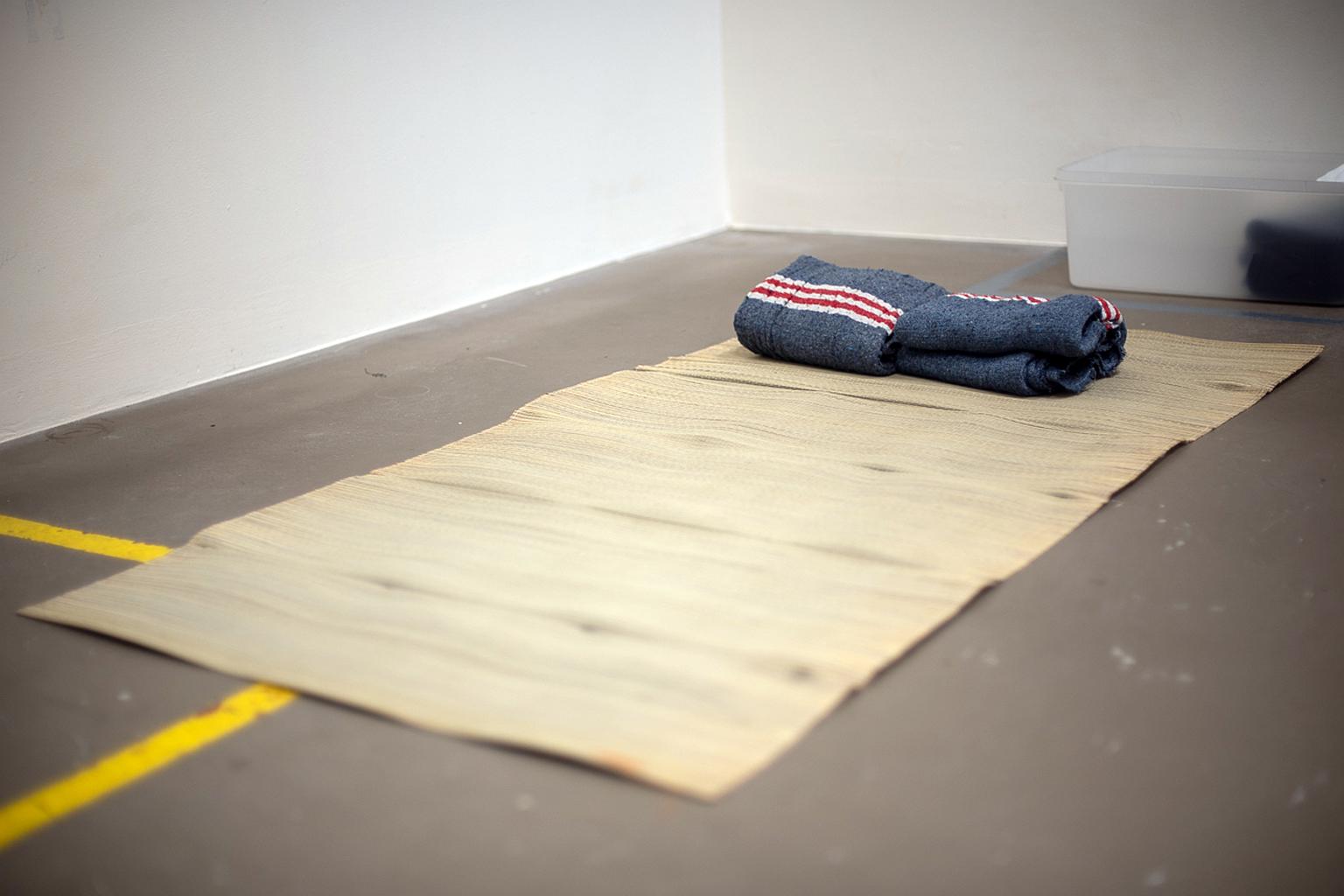 Singapore's prison conditions acceptable; no fans and mattresses for