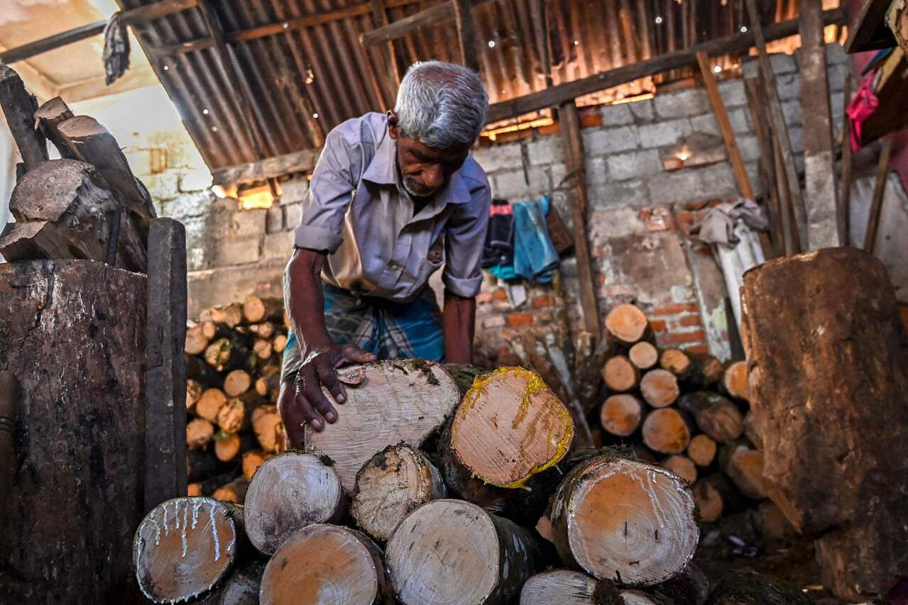 sri lankans return to cooking with firewood as economy burns | the straits times