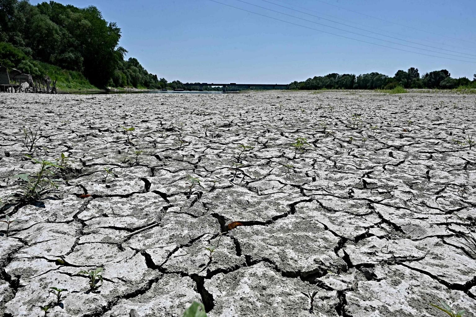Historic drought threatens to cripple European trade | The Straits Times
