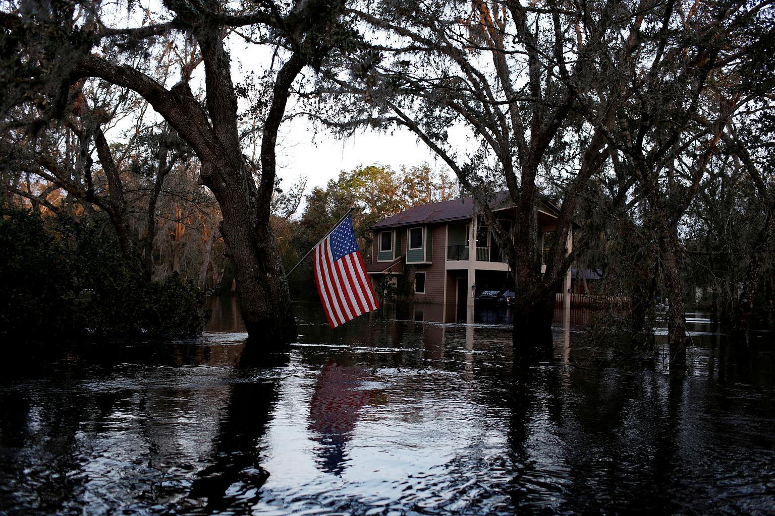 A rotting stench haunts Florida's orange farms devastated by Hurricane Ian The Straits Times