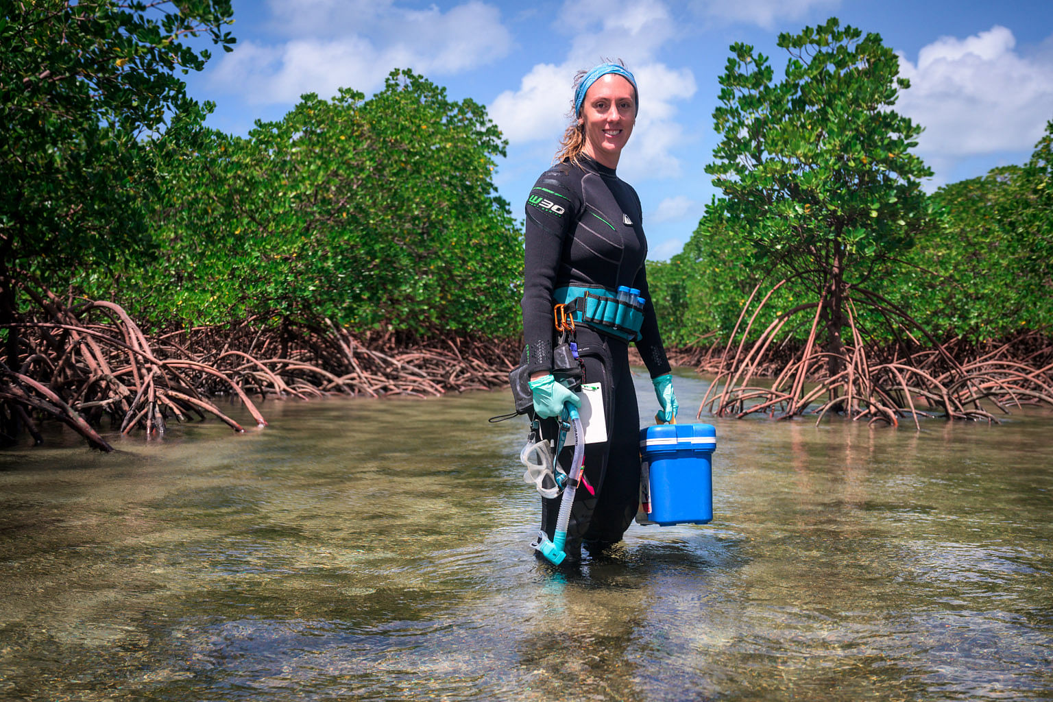 Dr Camp is studying the mangroves, once thought to be unsuitable for corals, at Low Isles. PHOTO: ROLEX/FRANCK GAZZOLA