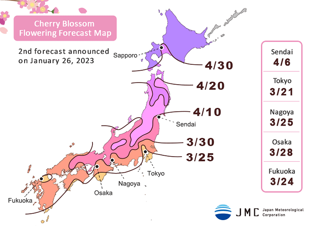 Sakura forecast Here’s where and when to see the cherry blossoms in