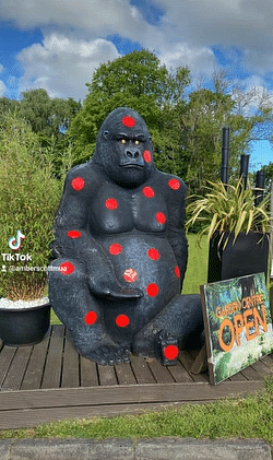 Giant gorilla statue sightings were 'not Gary