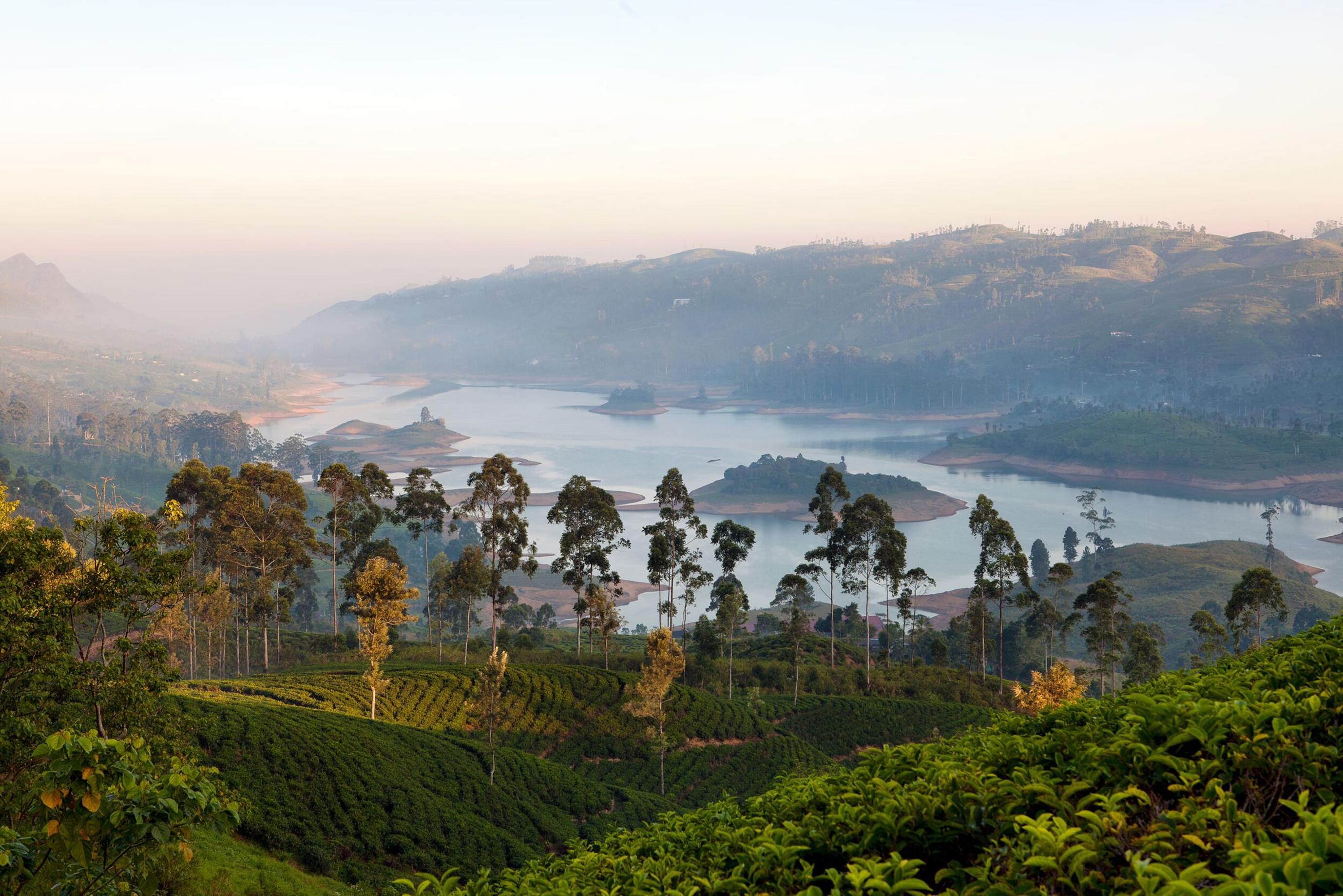 Остров шри ланка страна. Остров Цейлон Шри Ланка. Гора на острове Цейлон. Ceylon Tea Trails. Shri Lanka Ceylon Tea.