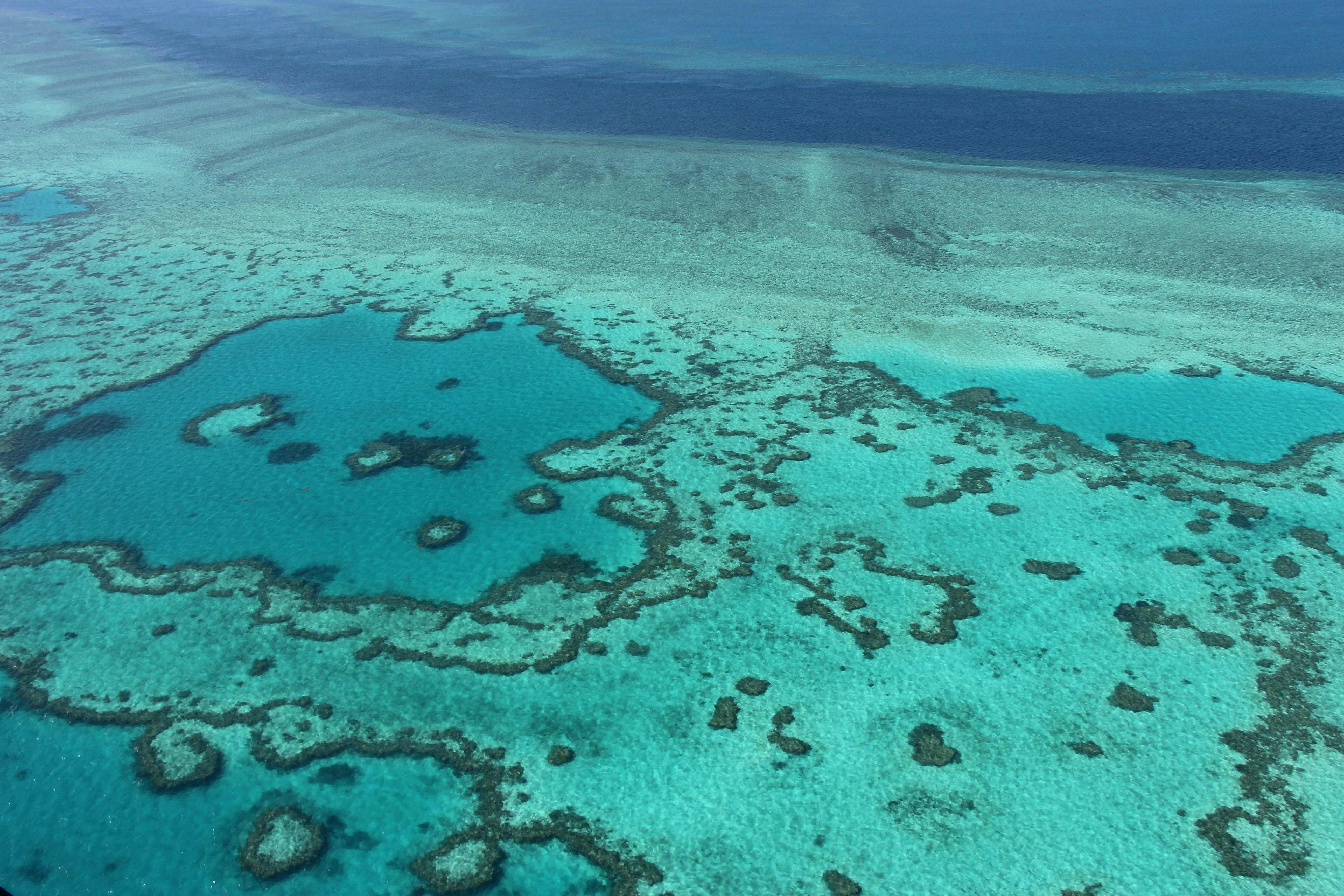 Крупнейший остров у берегов австралии. Коралловый риф в Австралии. Большой Барьерный риф ЮНЕСКО. Барьерный риф в Австралии. Большой Барьерный риф (ББР), Австралия.