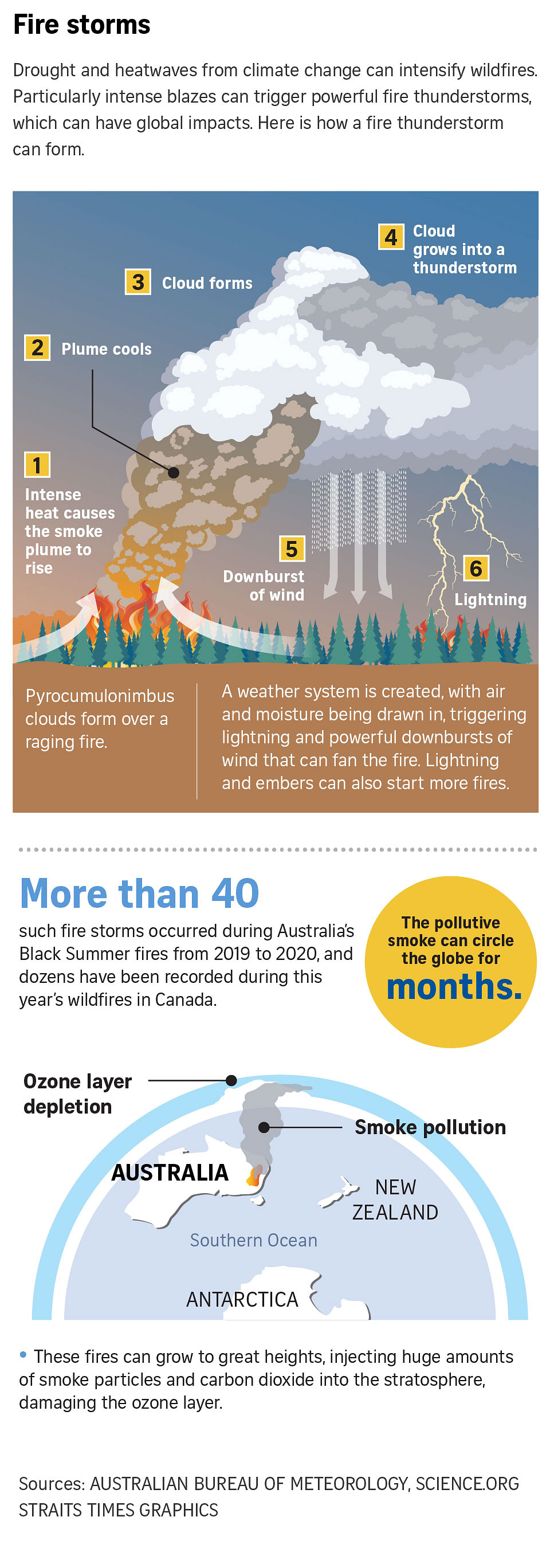 Wildfires can have global impact and are set to intensify, experts say ...