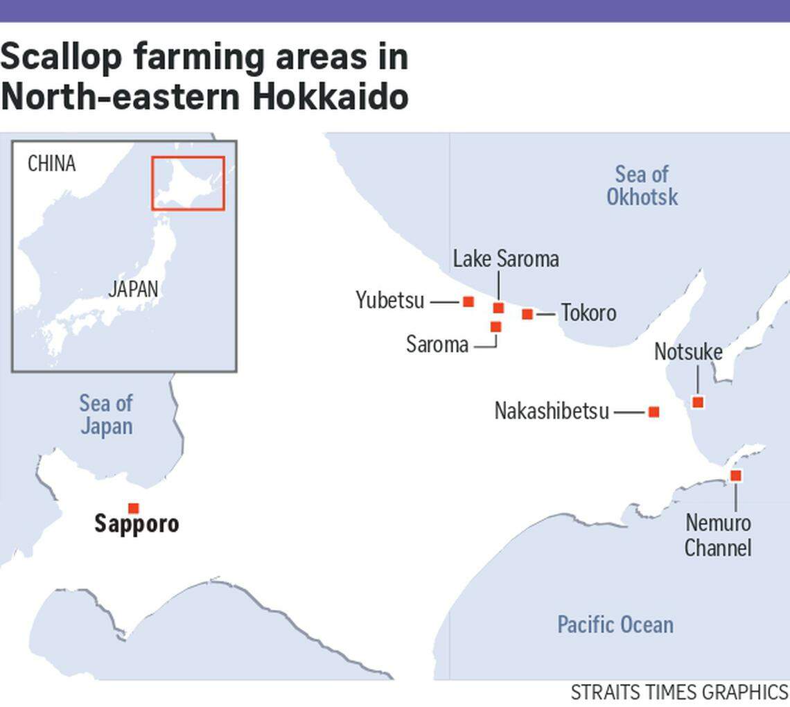 Hokkaido scallops safe to eat Japan sellers go on charm offensive