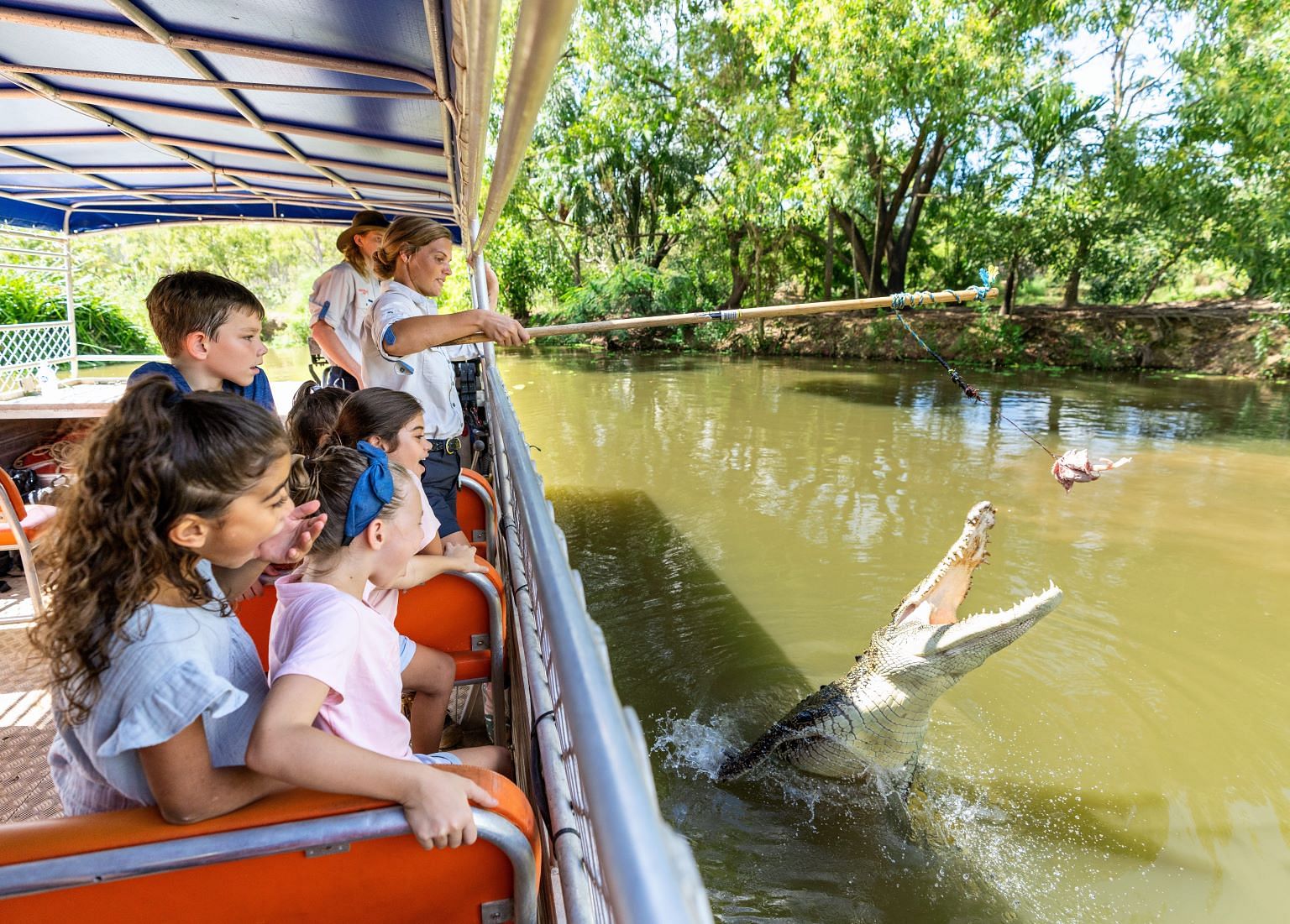 Crocodiles at Crocodylus Park