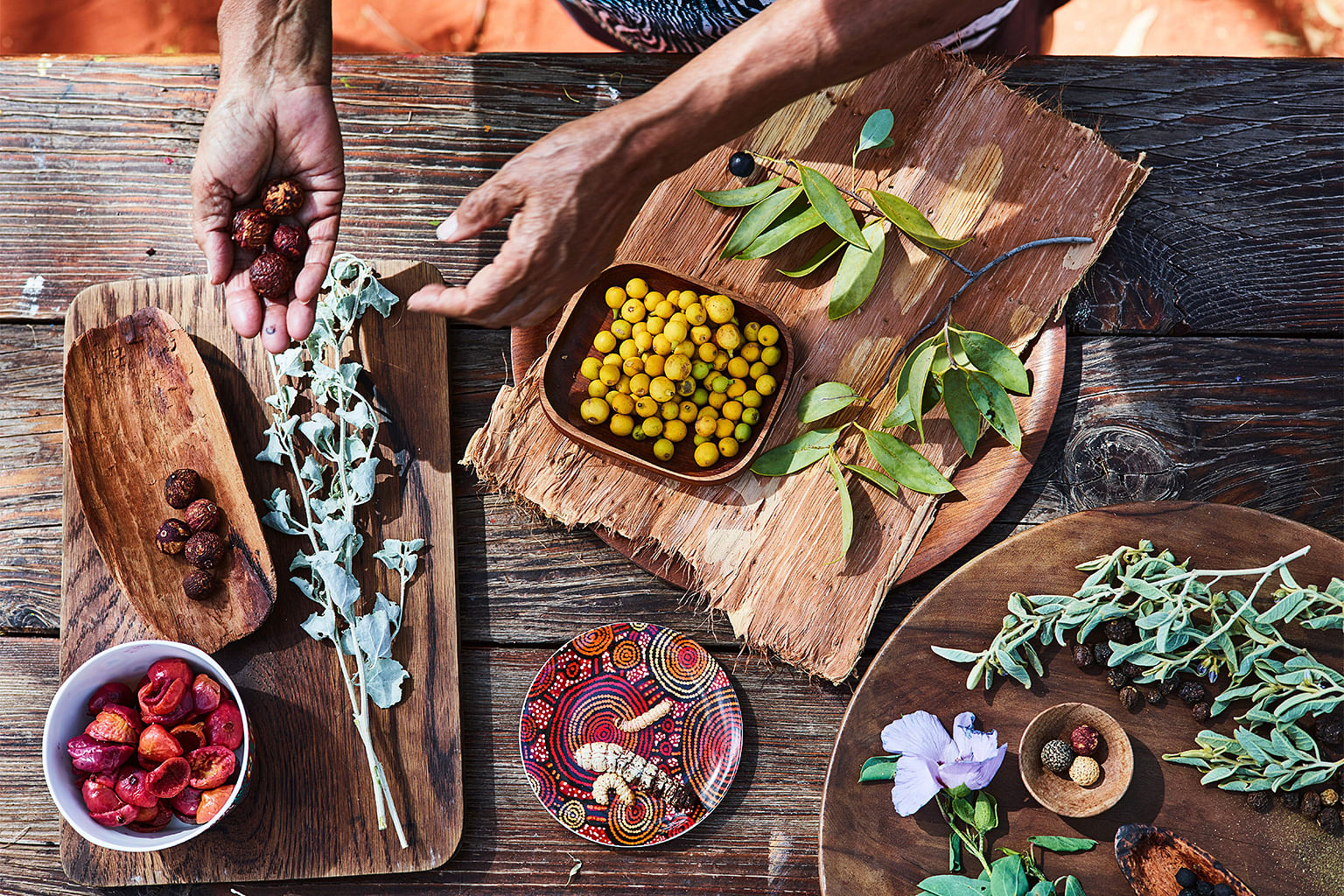 Indigenous ingredients being used to prepare a bush tucker meal at Ayers Rock Resort