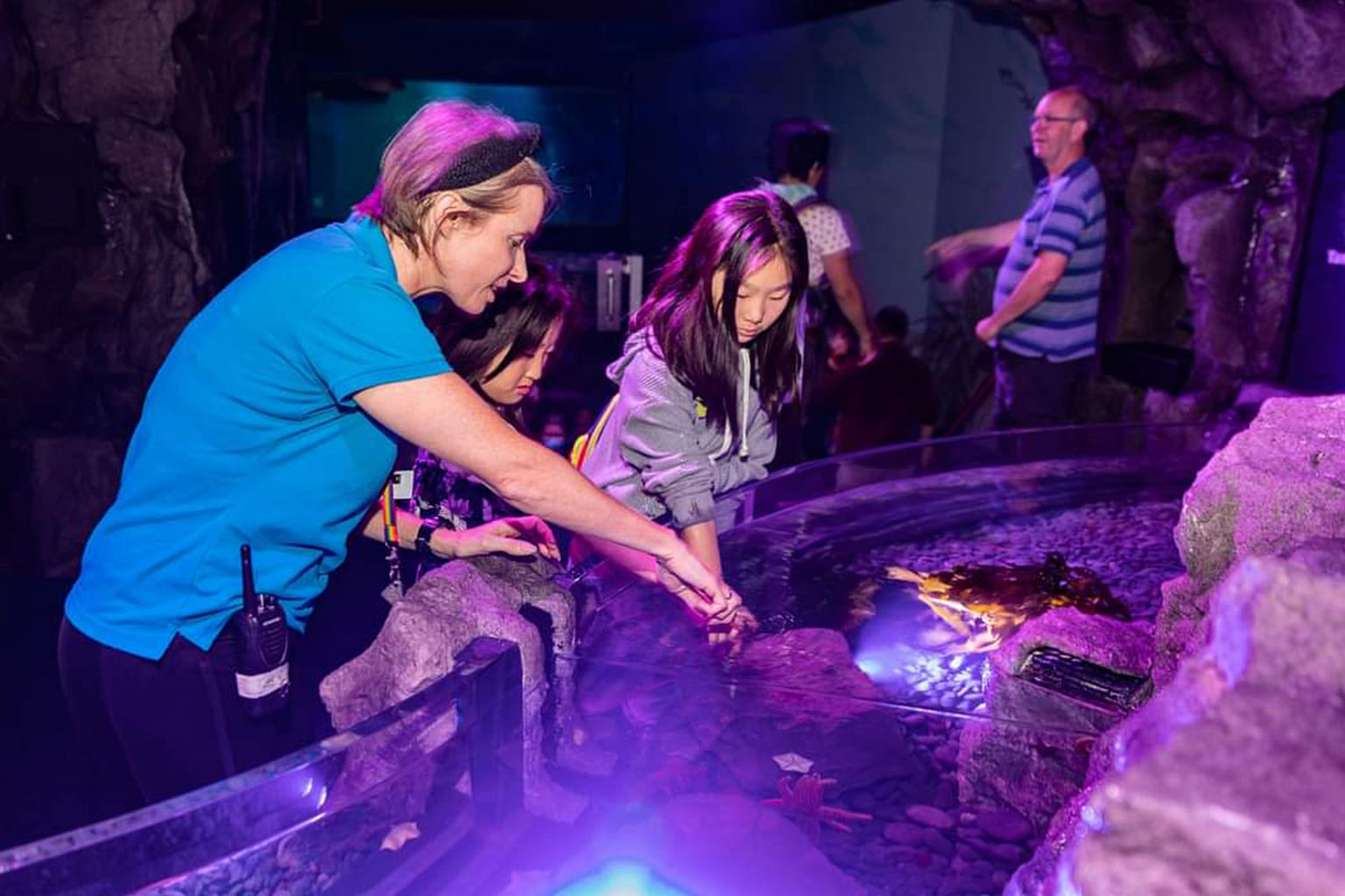 young asian girl looking at rockpool in sea life kelly tarltons aquarium Auckland