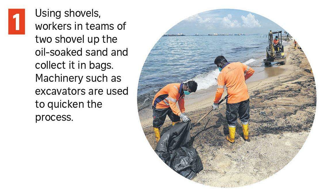 volunteers may be called on to help with final phase of beach cleanups