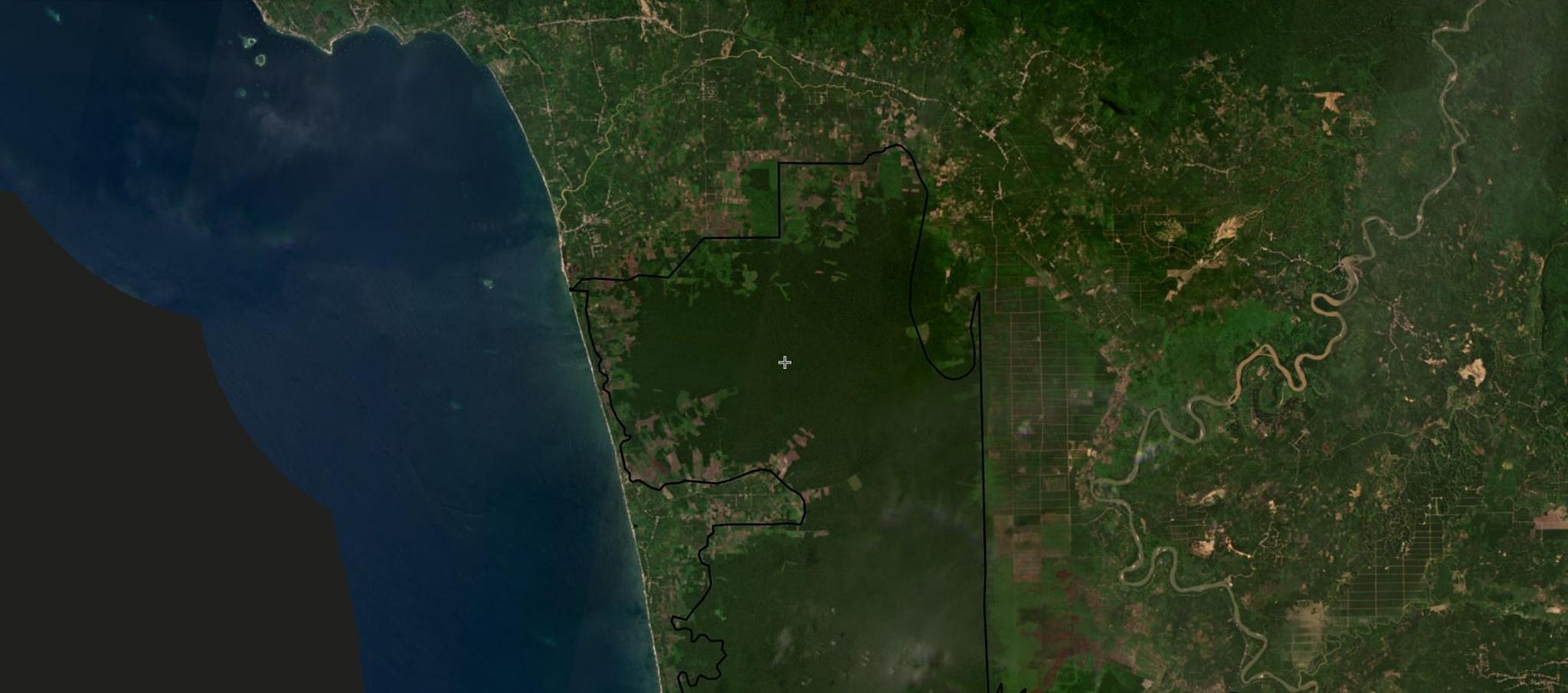 deforestation in indonesia case study