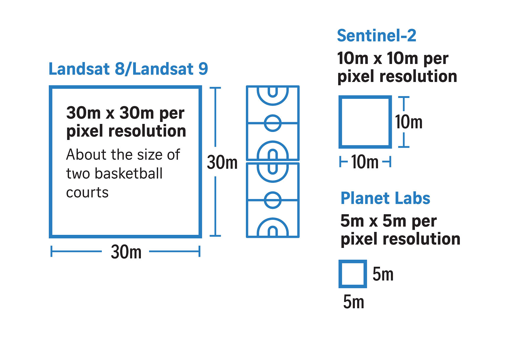 deforestation in indonesia case study