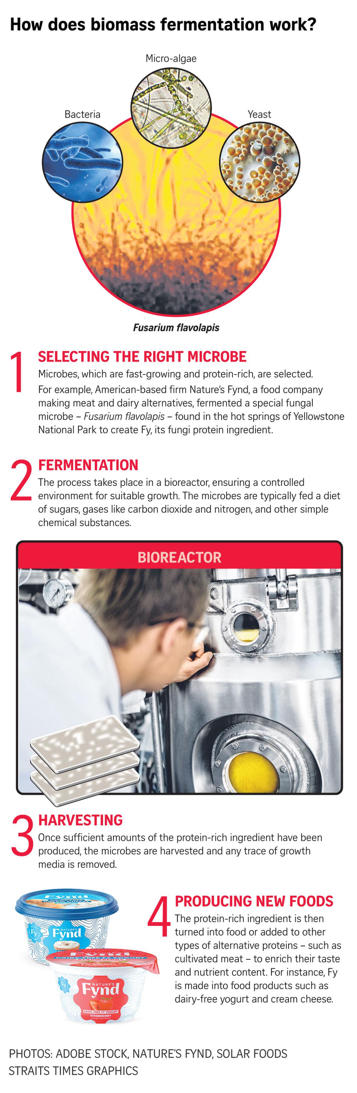 ST Explains Different types of fermentation tech and their nutritional