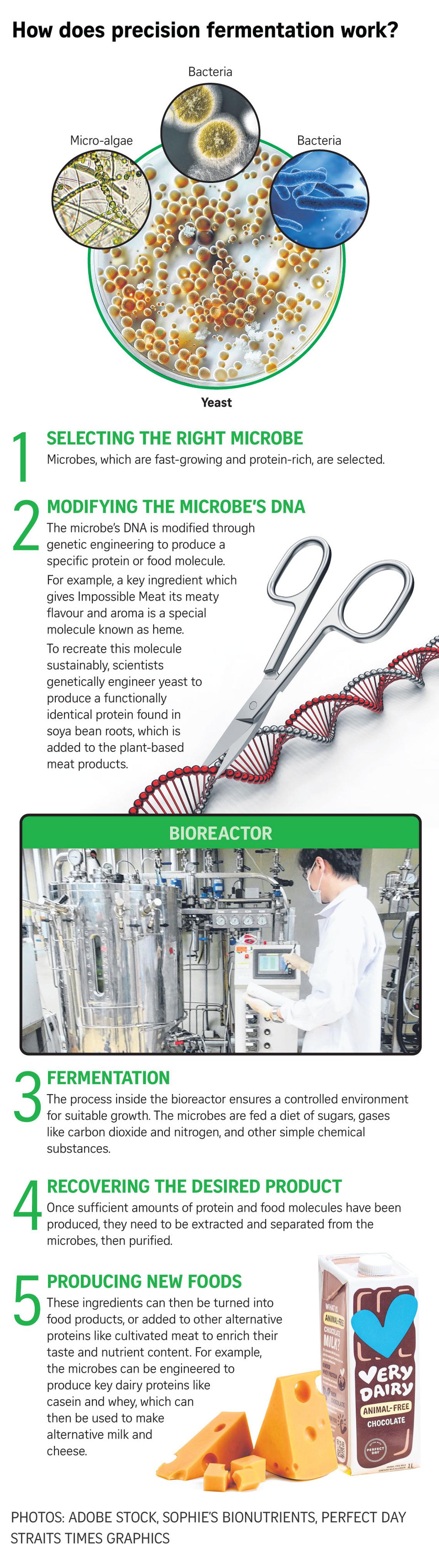 ST Explains Different types of fermentation tech and their nutritional
