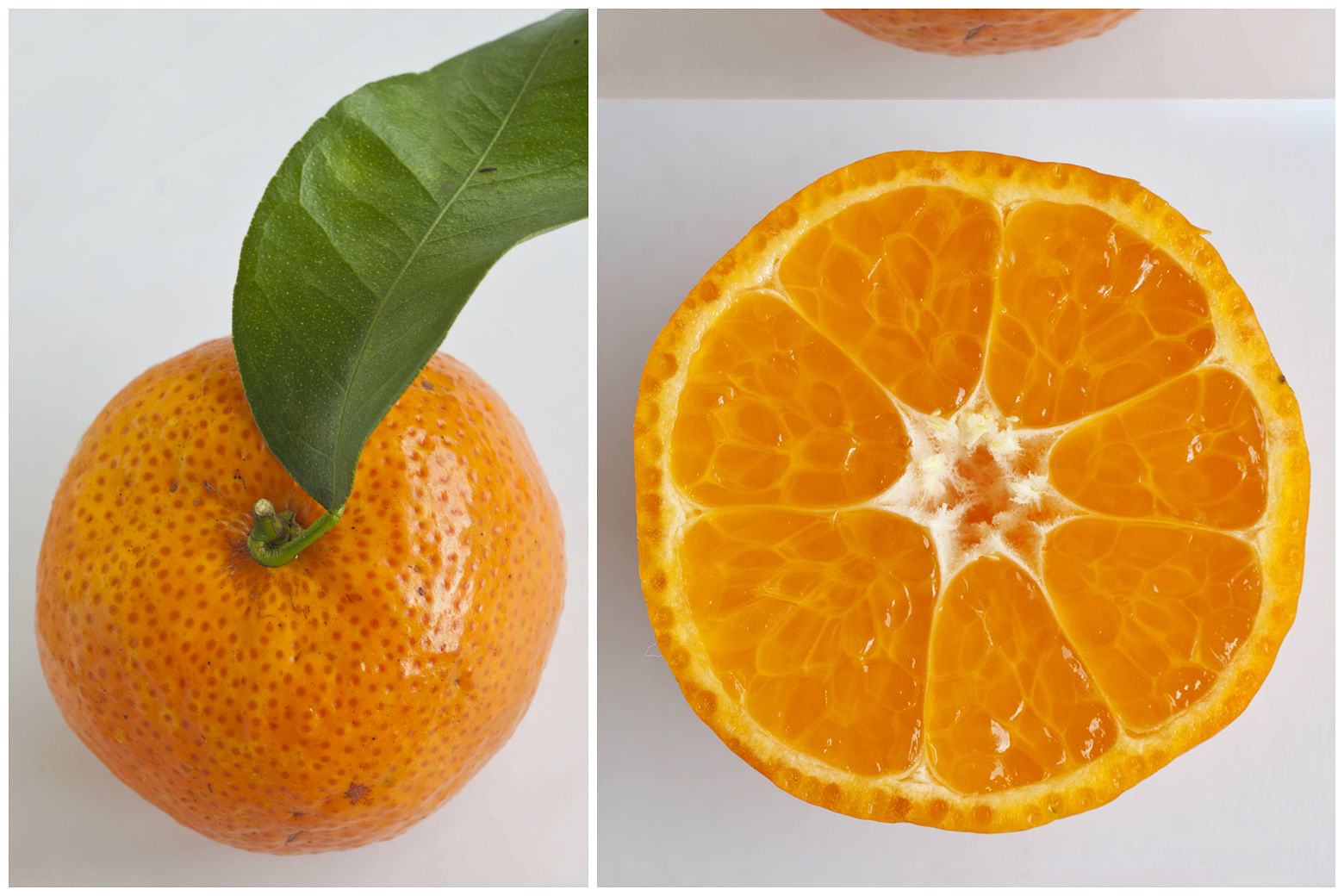 Clementine vs mandarin: what are the differences? - Plantura