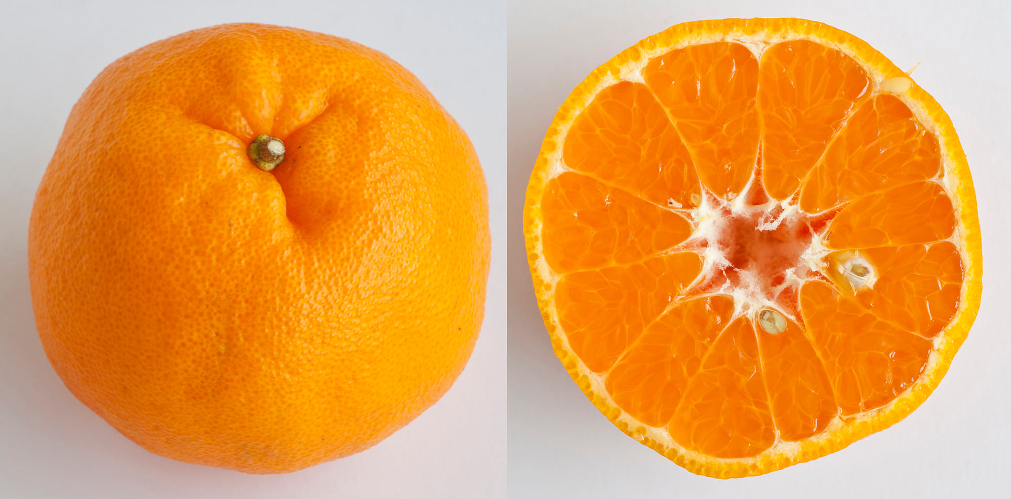 A guide to mandarin oranges: 11 types of citrus for the season | The  Straits Times