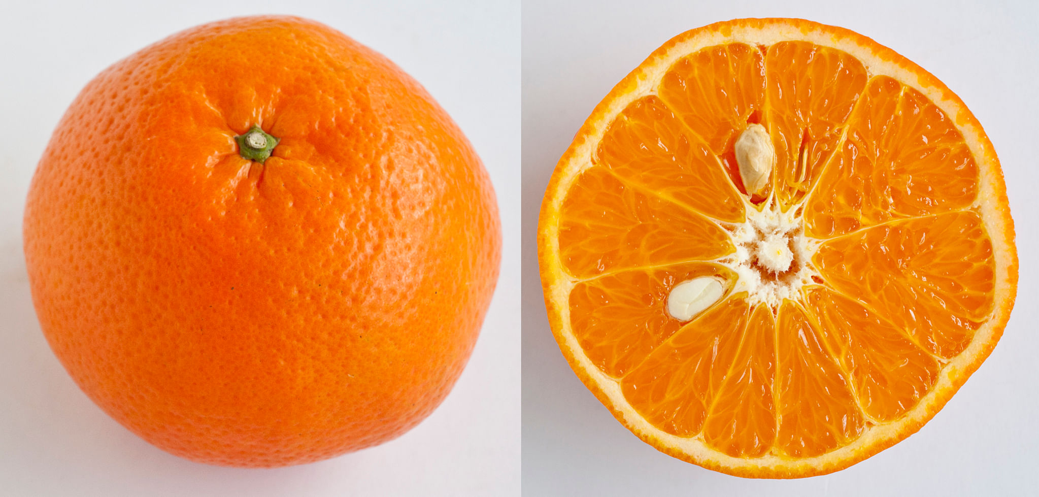 A guide to mandarin oranges: 11 types of citrus for the season