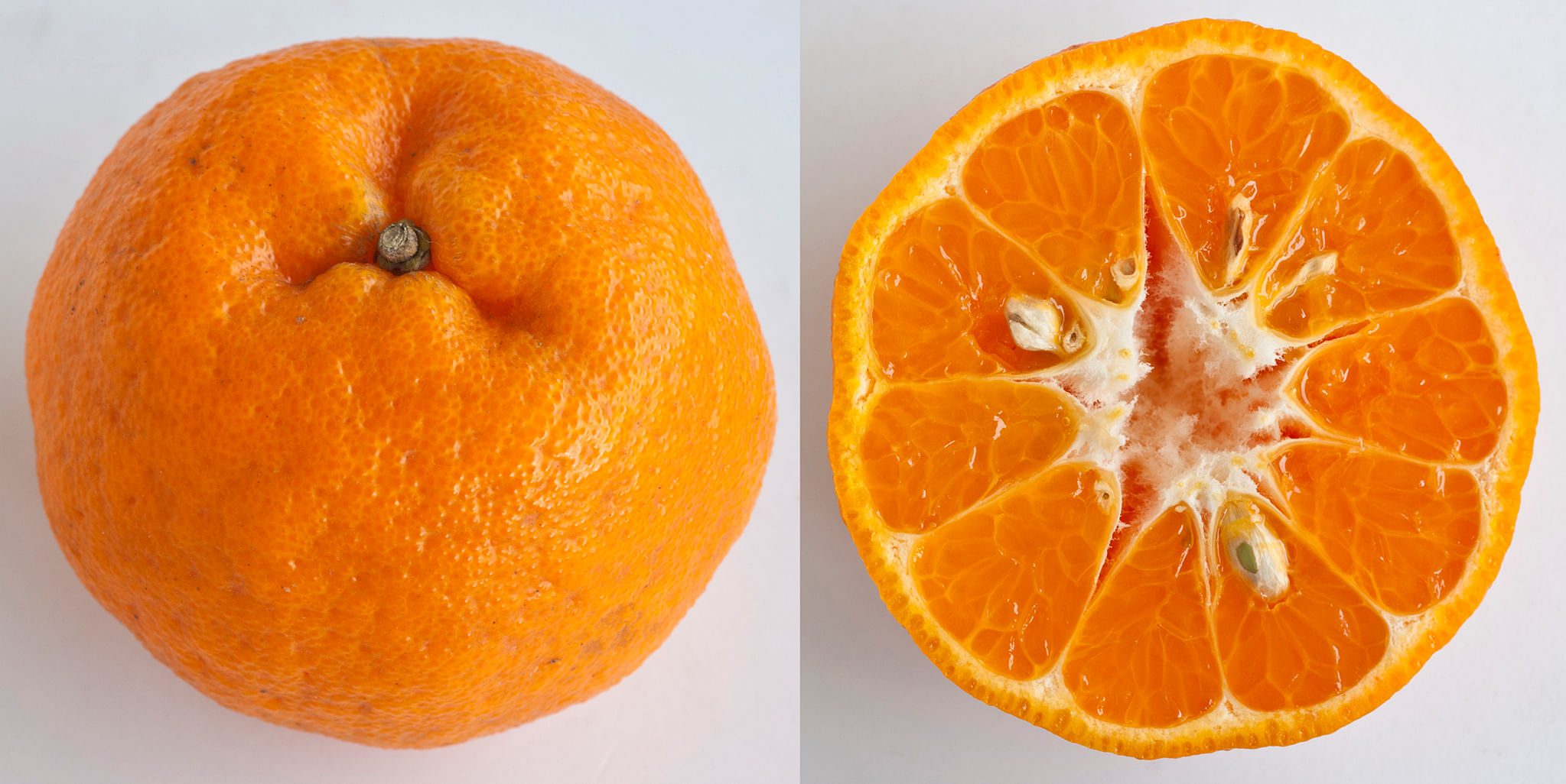 A guide to mandarin oranges: 11 types of citrus for the season