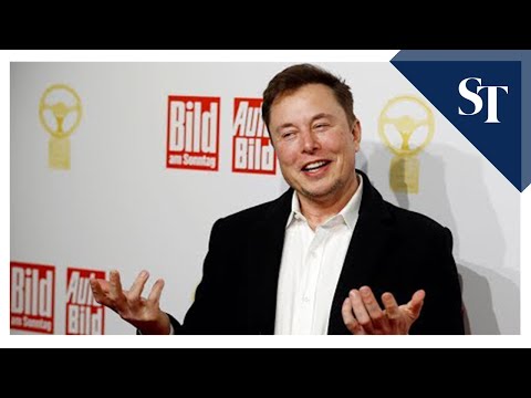 Elon Musk defies sceptics, meets Tesla delivery goal; shares hit record ...