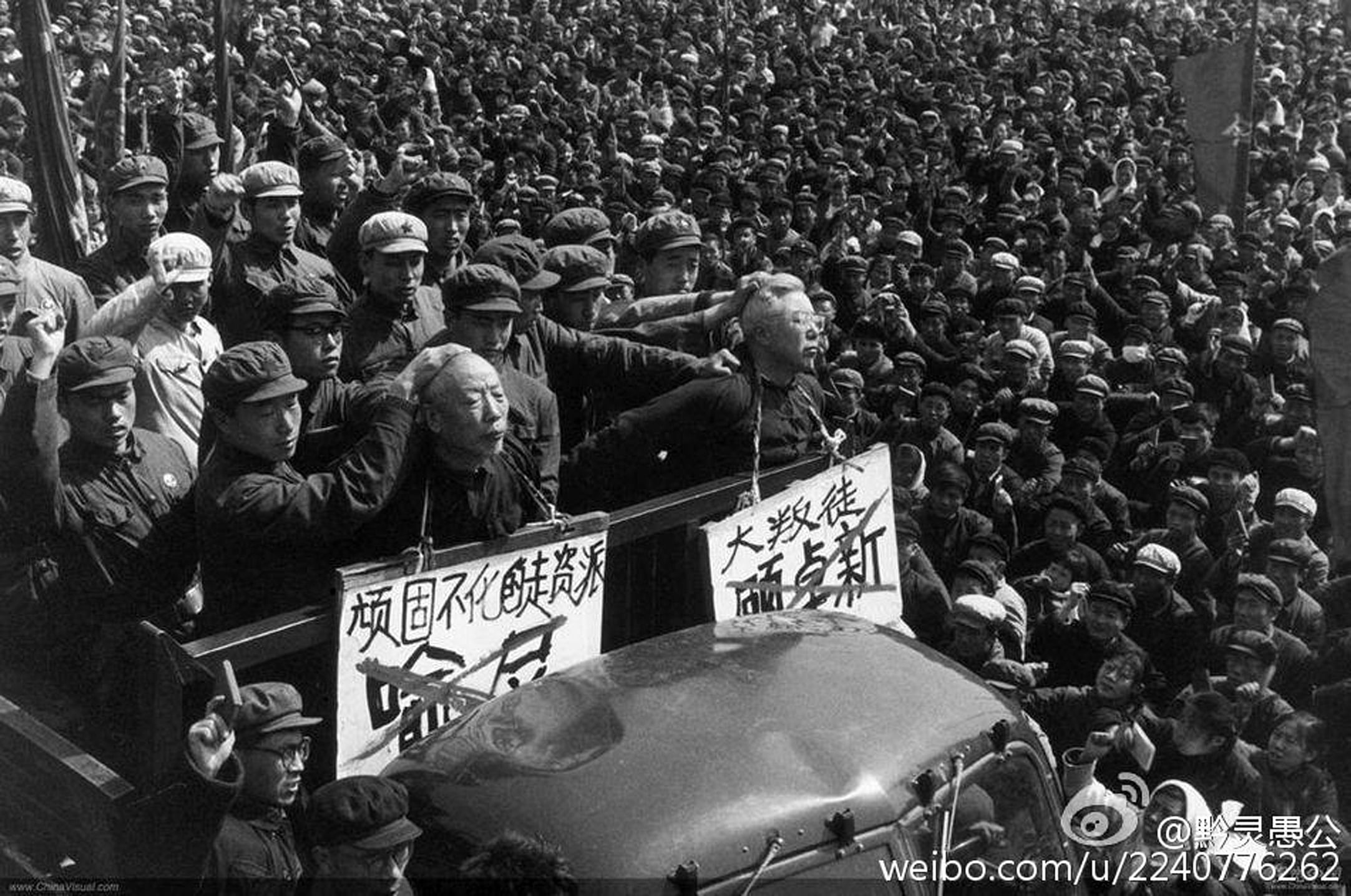 essay questions on the cultural revolution