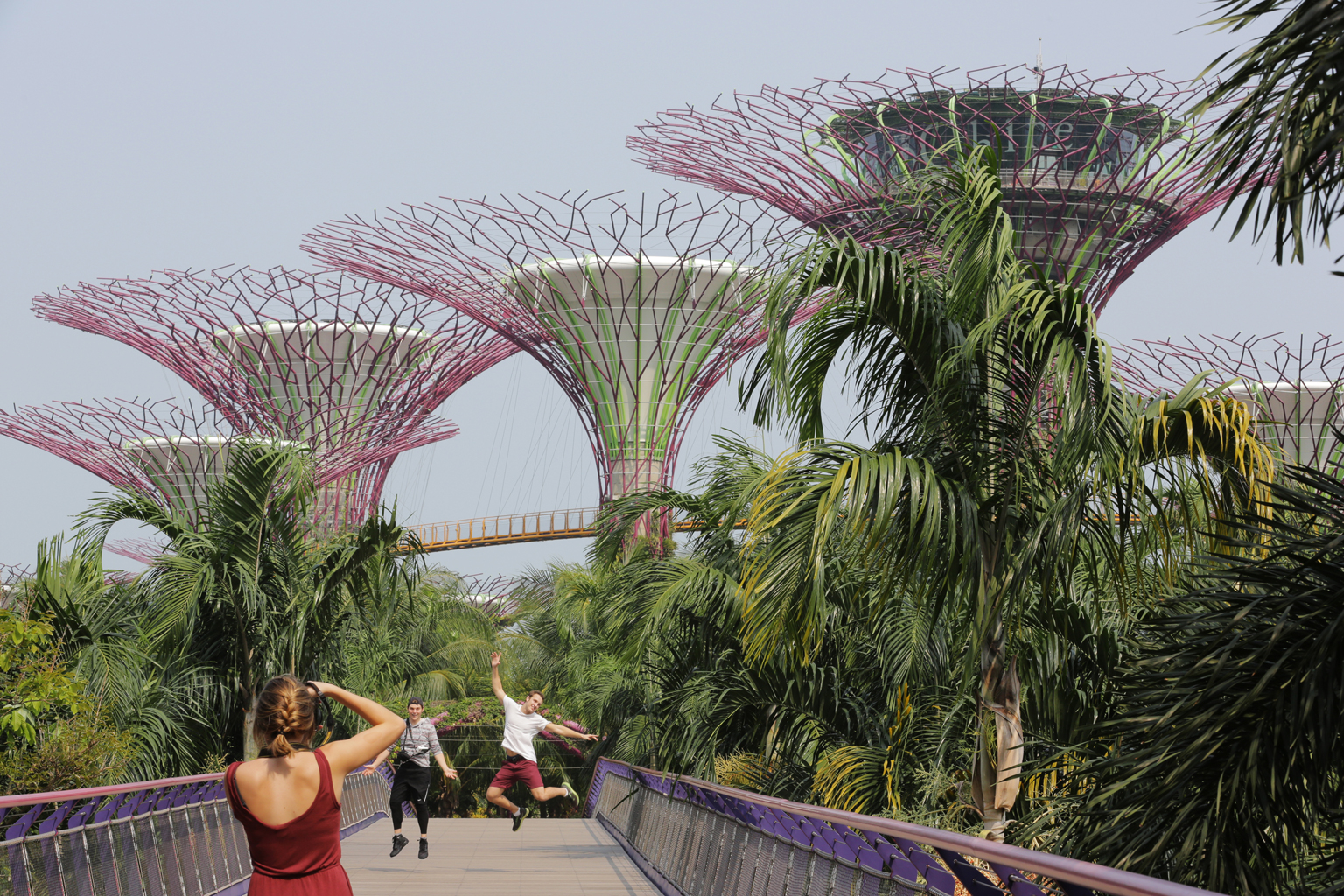 There are signs that the industry is on the road to recovery. Visitor arrivals have been on the rise since May, driven by large influxes from top markets like China and India.