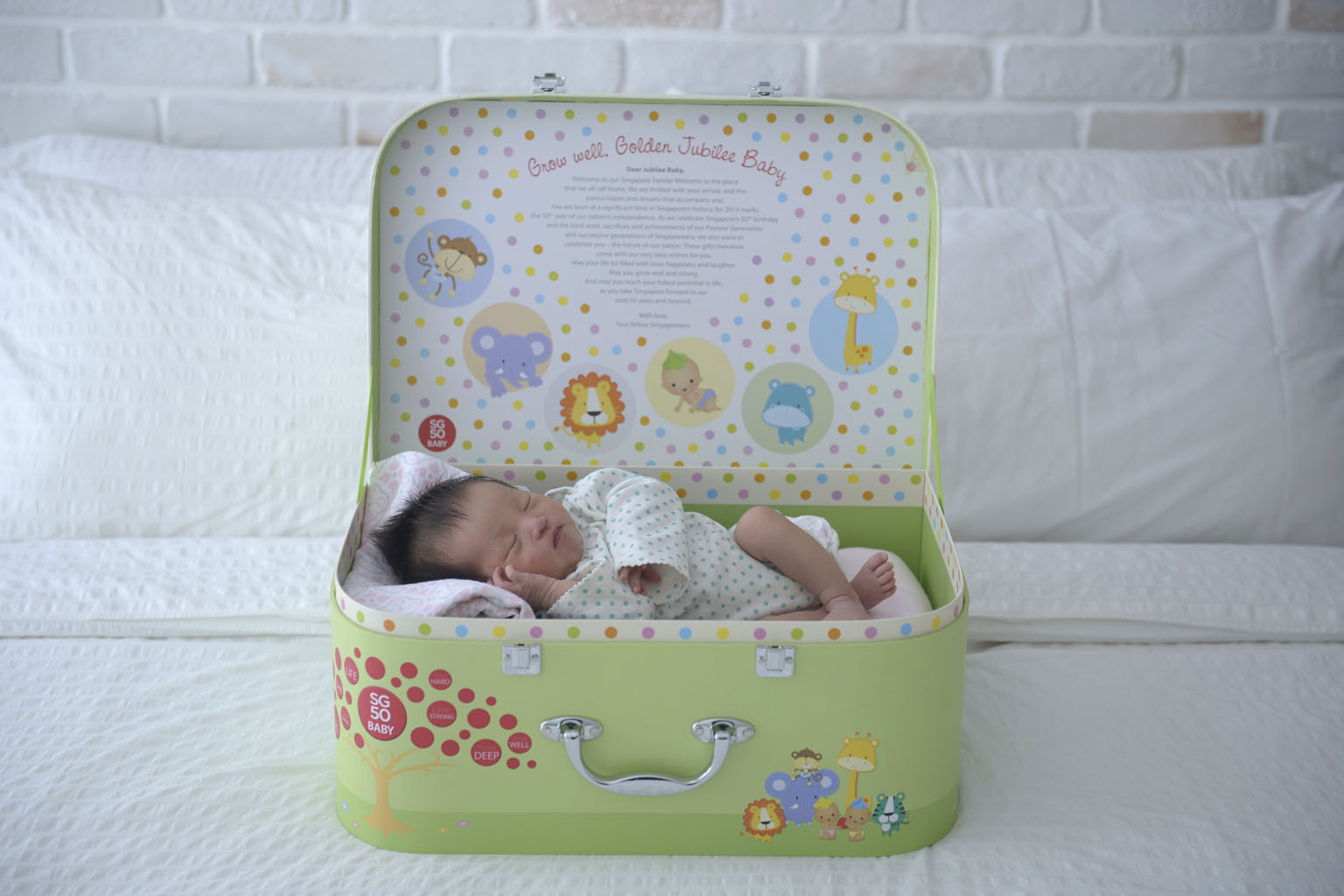 Emma Lim, born on Nov 28, is one of nearly 34,000 babies delivered in Singapore's Golden Jubilee year. Senior Minister of State Josephine Teo says that to keep the momentum going, she will focus on three areas: helping fathers play a more active role