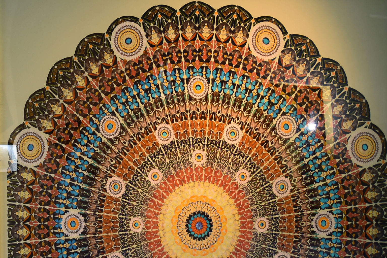 More than 4,000 butterfly wings were used to construct this art piece on show at the Butterflies Up-Close exhibition at the Science Centre Singapore. The colourful, delicate wings are from some 28 butterfly species including the green birdwing (Ornit