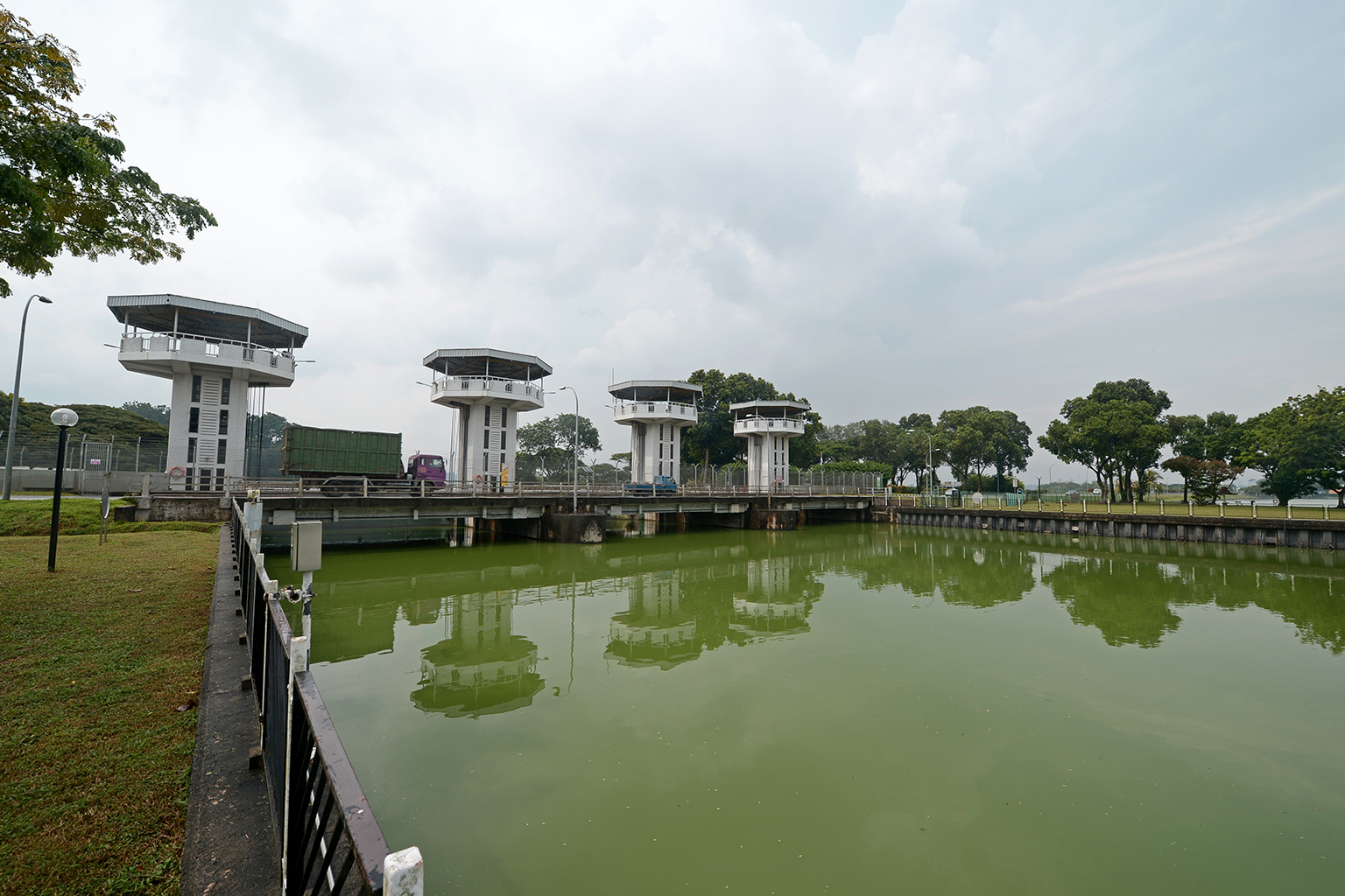 The authorities said the algae bloom has not affected fish in the reservoir or nearby fish farms and Sungei Buloh Wetland Reserve, although they are monitoring the situation.