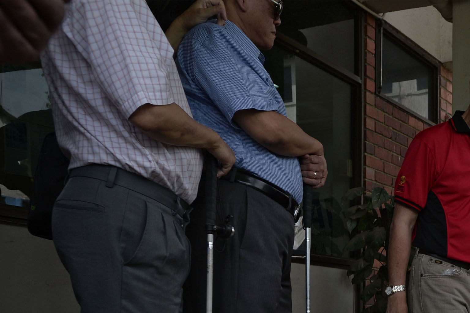 The Constitution stipulates that seven of the charity's 13 ex-co members must be visually handicapped.