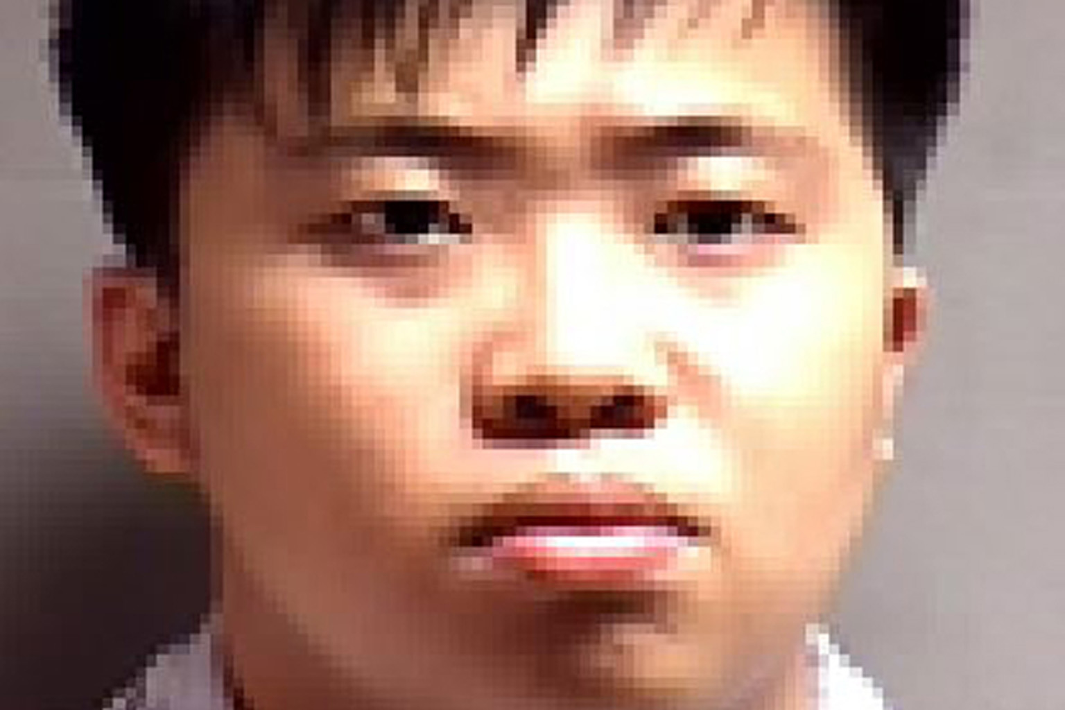 Wong admitted to 20 charges consisting of eight distinct crimes across four separate laws.