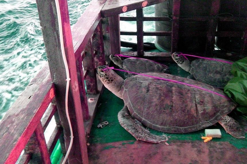 An undated handout photo released by Philippine National Police Maritime Palawan shows dead sea turtles lying on the deck of a Chinese-flagged fishing boat as it was towed by Philippine police to the town of Taytay on the western Philippine island of