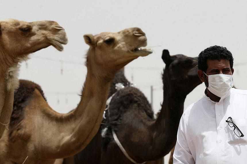 A man wearing a mask looks on as he stands in front of camels at a camel market in the village of al-Thamama near Riyadh on May 11, 2014. -- PHOTO: REUTERS