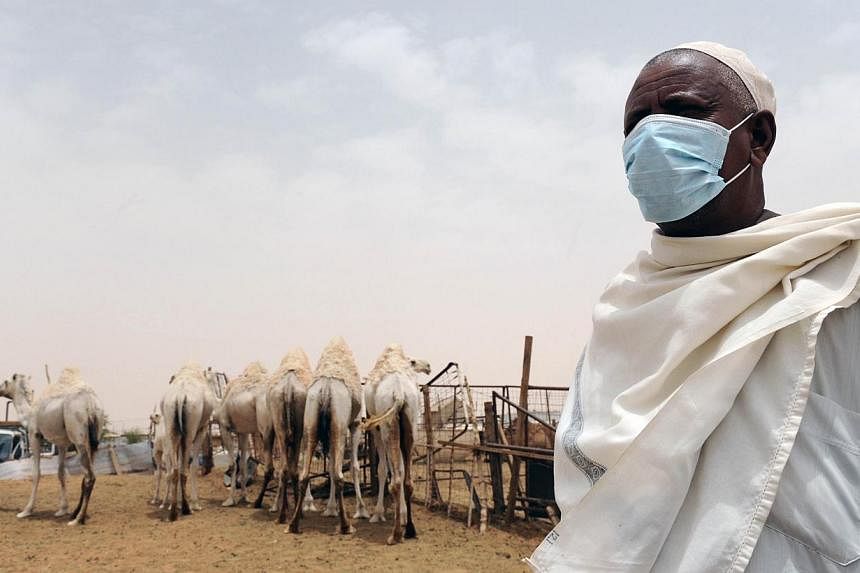 An Indian worker wears a mouth and nose mask as he works near camels at his farm outside Riyadh on May 12, 2014. -- FILE PHOTO: AFP
