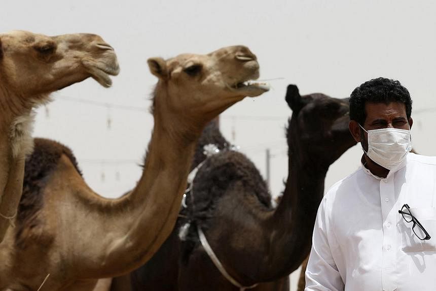 A man wearing a mask looks on as he stands in front of camels at a camel market in the village of al-Thamama near Riyadh May 11, 2014. -- FILE PHOTO: REUTERS
