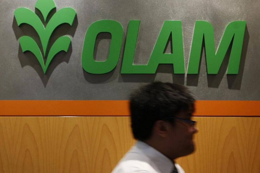 Agricultural products supplier Olam International said on Thursday its net profit for the third quarter nearly tripled, owing to a fair value gain of $271 million from the revaluation of its stake in natural sweetener company PureCircle. -- FILE PHOT
