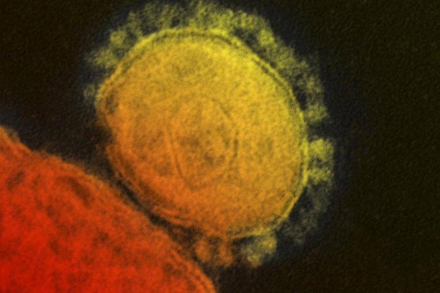 The Middle East respiratory syndrome (Mers) coronavirus is seen in an undated transmission electron micrograph from the National Institute for Allergy and Infectious Diseases (NIAID). Health authorities in Saudi Arabia have reported three more fatali
