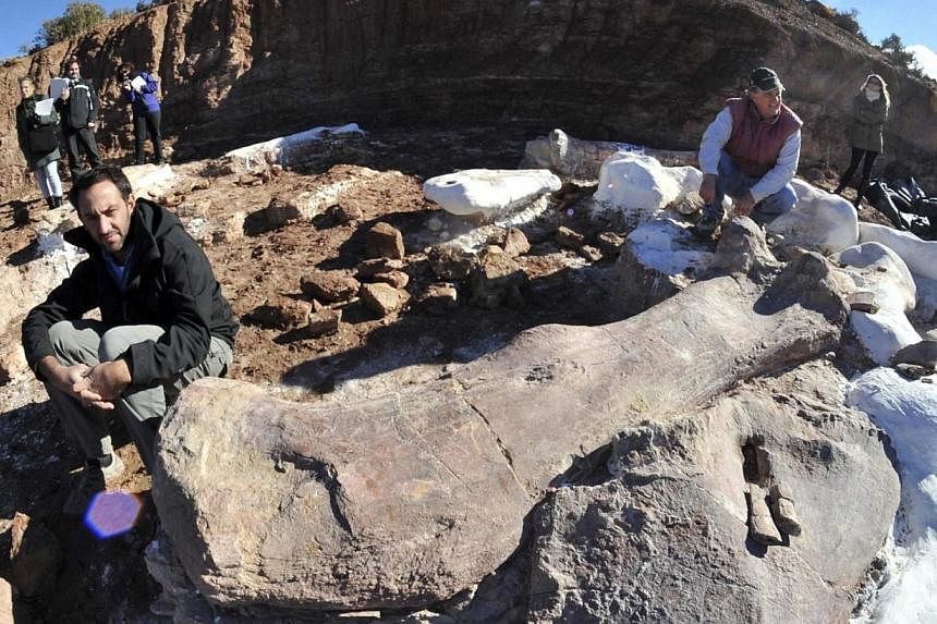 Paleontologists Jose Luis Carballido (left) and Ruben Cuneo pose next to the bones of a dinosaur at a farm in La Flecha, west of the Argentina's Patagonian city of Trelew, May 16, 2014.&nbsp;Ever since the first dinosaur fossil was found in 1676, man