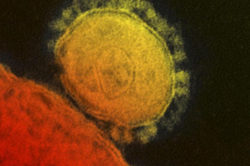 The Middle East respiratory syndrome (MERS) coronavirus is seen in an undated transmission electron micrograph from the National Institute for Allergy and Infectious Diseases (NIAID). -- FILE PHOTO: REUTERS