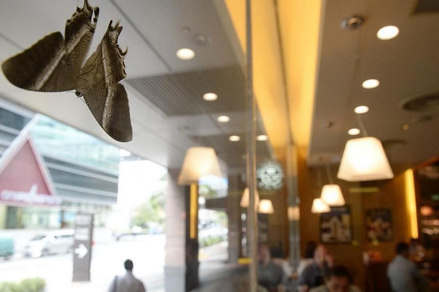The large moths have been spotted across Singapore, including on this window at Republic Plaza yesterday.