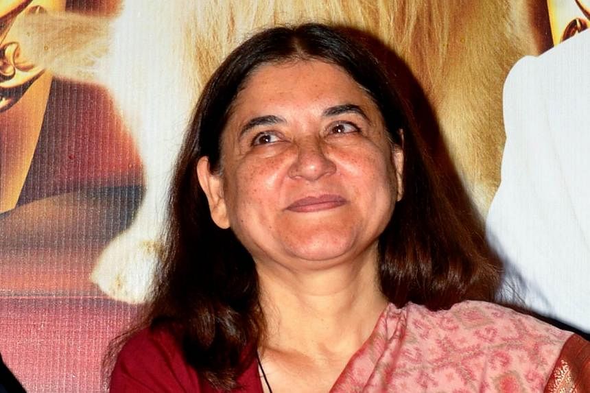 Indian politician and activist Maneka Gandhi attends a promotional event for the forthcoming Hindi film, It's Entertainment! in Mumbai on May 19, 2014. Mrs Gandhi returned to political power on Monday when she was sworn in as a member of India's new 